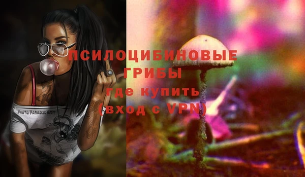Альфа ПВП Медвежьегорск