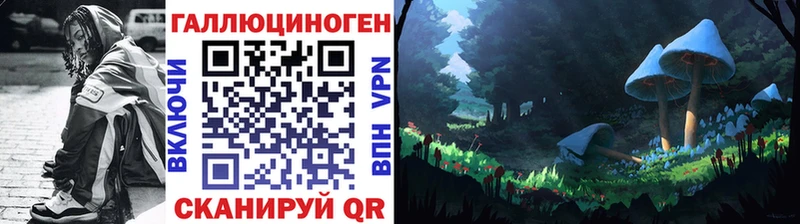 shop официальный сайт  блэк спрут tor  Химки  Псилоцибиновые грибы Magic Shrooms 