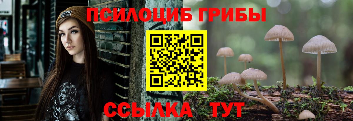 Галлюциногенные грибы прущие грибы  Вход с VPN  Галлюциногенные грибы Magic Shrooms  Химки 