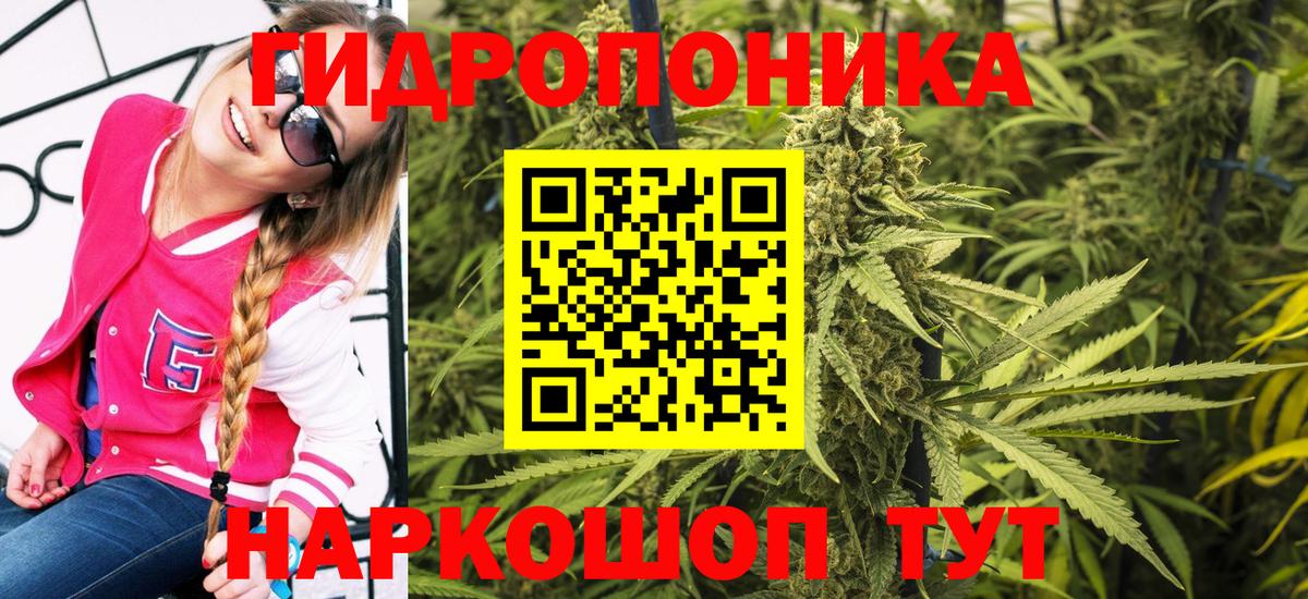 Химки  Каннабис планчик  Вход с VPN  Марихуана гибрид 